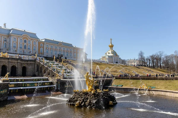 The majestic Samson fountain in Peterhof, tearing apart the lions mouth, a large cascade with gilded sculptures. Monument to the great Russian victories. Russia, Peterhof, 04.21.2021 — Stock Photo, Image