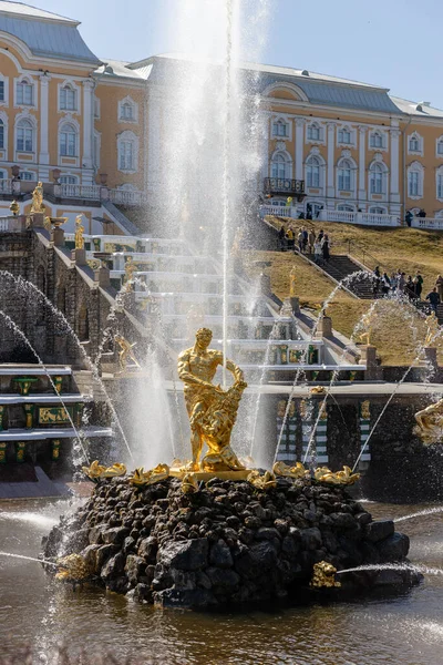 The majestic Samson fountain in Peterhof, tearing apart the lions mouth, a large cascade with gilded sculptures. Monument to the great Russian victories. Russia, Peterhof, 04.21.2021 — Stock Photo, Image
