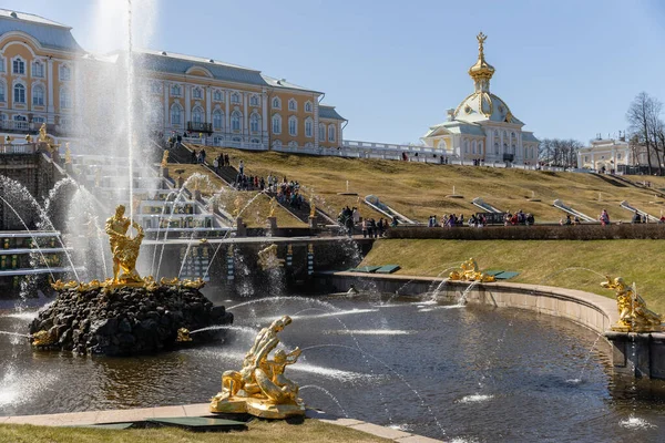 La majestueuse fontaine Samson à Peterhof, déchirer la bouche des lions, une grande cascade avec des sculptures dorées. Monument aux grandes victoires russes. Russie, Peterhof, 04.21.2021 — Photo