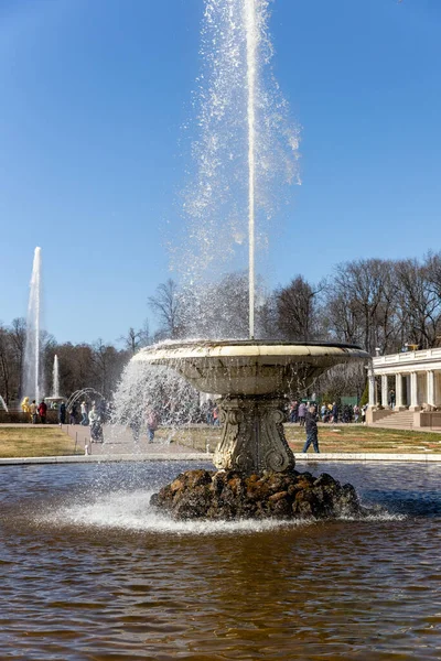 Duża włoska fontanna i marmurowa miska w dolnym parku Peterhof, słoneczny dzień, Wiosna, Rosja, Peterhof, 04.21.2021 — Zdjęcie stockowe
