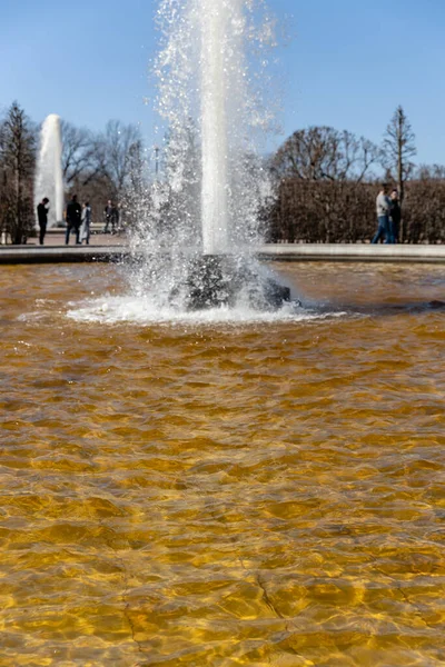 Peterhof Aşağısındaki Manege Çeşmesi Güneşli Bir Gün Mavi Gökyüzü Bir — Stok fotoğraf