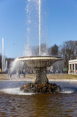 Peterhof 'un alt parkında büyük bir İtalyan çeşmesi ve bir mermer kase, güneşli bir gün, bahar, Rusya, Peterhof, 04.21.2021.