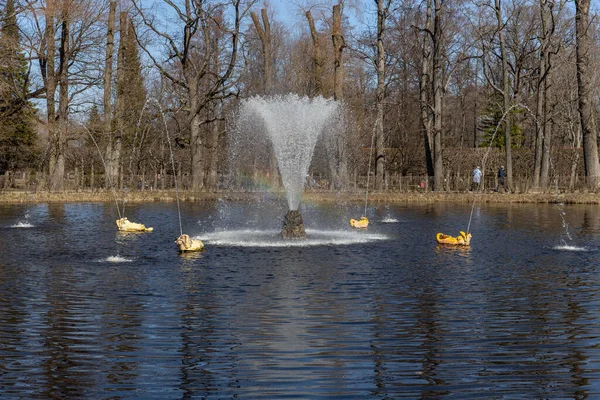 Fuente Ballenas Parque Inferior Peterhof Primavera Rusia Peterhof 2021 — Foto de Stock