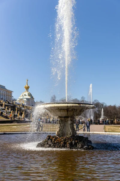 Large Italian Fountain Marble Bowl Lower Park Peterhof Sunny Day — Stock Photo, Image