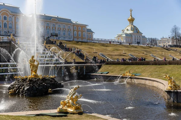 Majestueuse Fontaine Samson Peterhof Déchirer Bouche Lion Une Grande Cascade — Photo