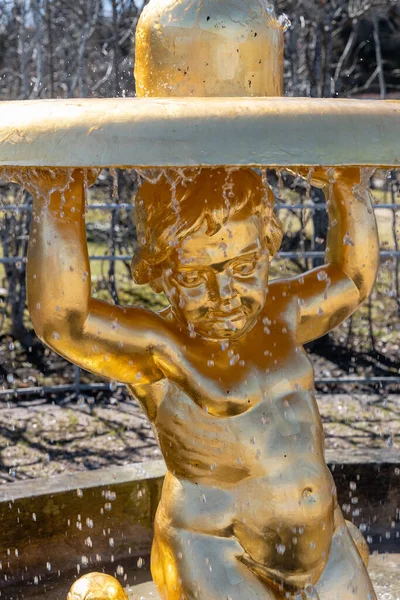 Brunnen Tritonenglocken Unteren Peterhof Aus Bronze Skulptur Eines Jungen Mit — Stockfoto