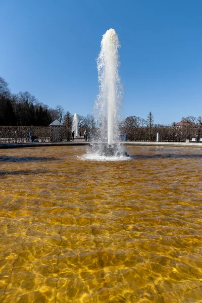 ピーターホフ公園の下の公園にある男らしい噴水 晴れた日 青い空 水の流れが立ち上がります ロシア ピーターホフ 2021 — ストック写真