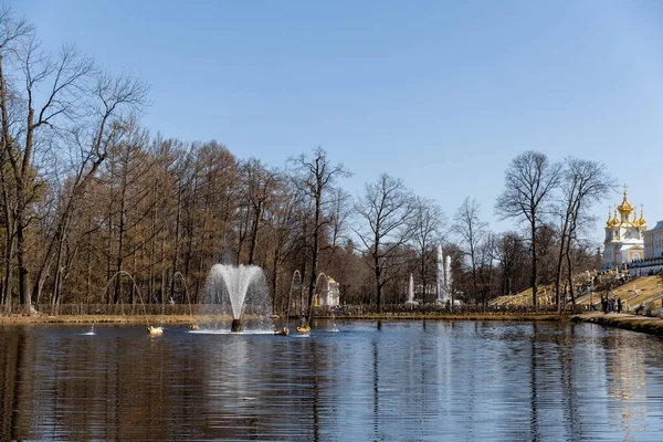 Fontaine Baleine Dans Parc Inférieur Peterhof Printemps Russie Peterhof 2021 — Photo