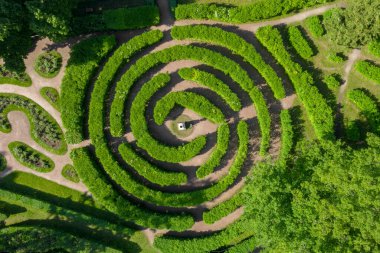 Pavlovsk Peyzaj Parkı 'ndaki Bushes Labirenti' nin hava manzarası. Çalılardan bir örnek. Yaz sezonu. Bahçe tasarımı. Yukarıdan görüntüle