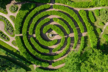 Aerial view of the Labyrinth of Bushes in the Pavlovsk Landscape Park. A sample of bushes. Summer season. Lawn design. View from above clipart
