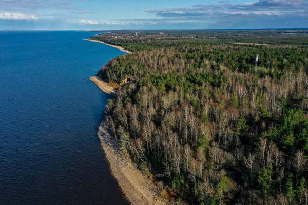 Luchtfoto van de kust van de Finse Golf. Zandkust en bosgordel. Bomen, blauwe lucht. — Stockfoto