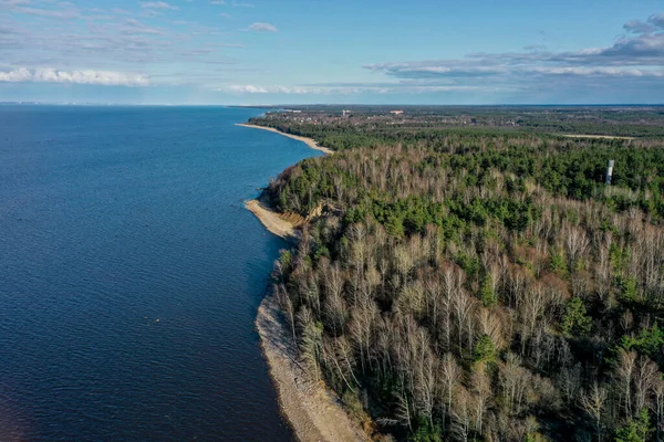 Luchtfoto van de kust van de Finse Golf. Zandkust en bosgordel. Bomen, blauwe lucht. — Stockfoto