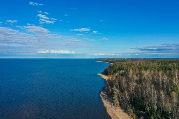 Luchtfoto van de kust van de Finse Golf. Zandkust en bosgordel. Bomen, blauwe lucht. — Stockfoto