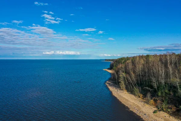 Luchtfoto van de kust van de Finse Golf. Zandkust en bosgordel. Bomen, blauwe lucht. — Stockfoto