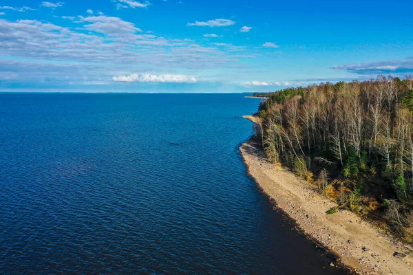 Вид с воздуха на побережье Финского залива. Песчаное побережье и лесной пояс. Верхушки деревьев, голубое небо. — стоковое фото