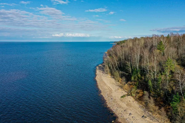 Luchtfoto van de kust van de Finse Golf. Zandkust en bosgordel. Bomen, blauwe lucht. — Stockfoto