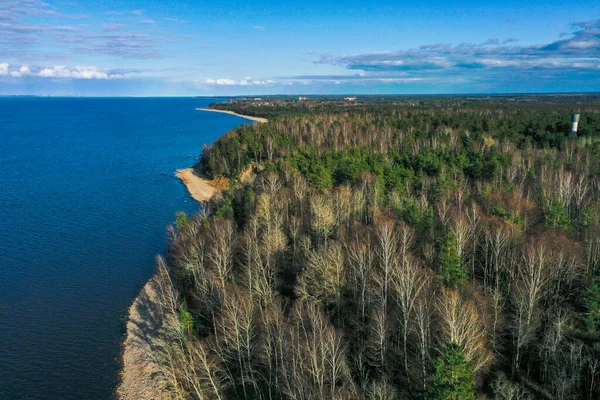 Luchtfoto van de kust van de Finse Golf. Zandkust en bosgordel. Bomen, blauwe lucht. — Stockfoto