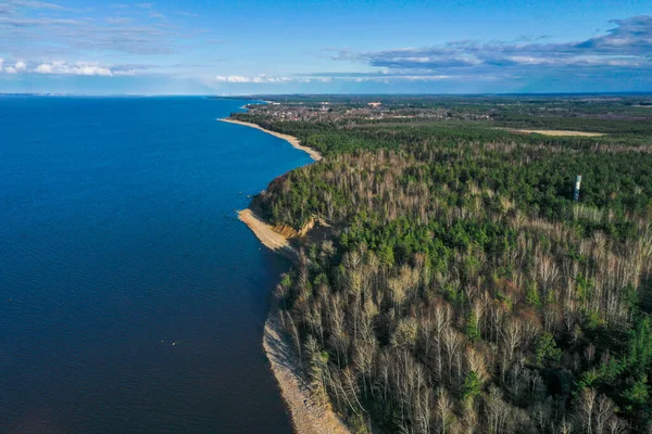 Luchtfoto van de kust van de Finse Golf. Zandkust en bosgordel. Bomen, blauwe lucht. — Stockfoto