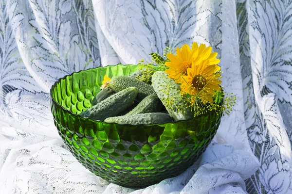 Cucumbers in a glass green vase or bowl on the background of lac — Stock Photo, Image