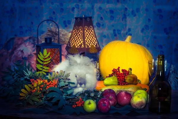 Fortfarande till dag av thanksgiving med höstens grönsaker, frukt, pump — Stockfoto