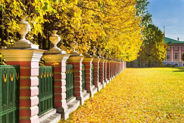 Fence autumn park, — Stock Photo, Image