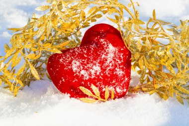 Aşk Sevgililer adı bir sembolü olarak kırmızı peluş kalp