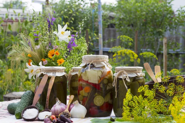 Banker med inlagda grönsaker - gurkor, tomater, zucchini — Stockfoto