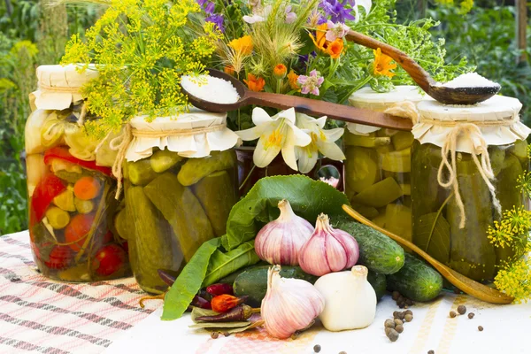 Bancos con verduras en escabeche: pepinos, tomates, calabacines y especias — Foto de Stock