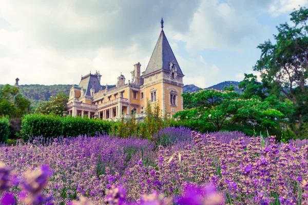 Massandra Palace Massandra Yalta Crimea Gurzuf Gothic Castle Field Lavender — Stock Photo, Image