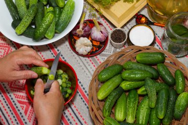 Salatalık turşu, turşu - eller yakın çekim, salatalık, otlar, 