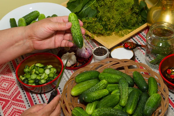 Pickling cucumbers, pickling - hands close-up, cucumber, herbs, — Stock Photo, Image