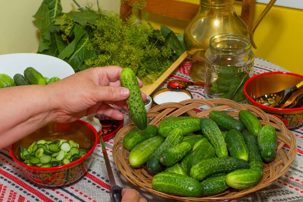 Pepinos em escabeche, conservação em escabeche - mãos close-up, pepino, ervas , — Fotografia de Stock