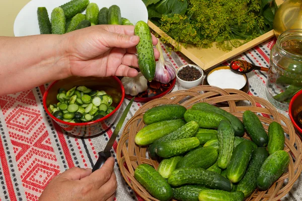 Pepinos em escabeche, conservação em escabeche - mãos close-up, pepino, ervas , — Fotografia de Stock