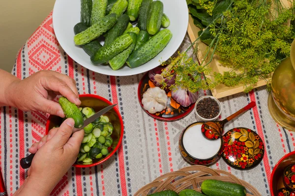 腌制黄瓜、 酸洗-手特写，黄瓜，草本, — 图库照片