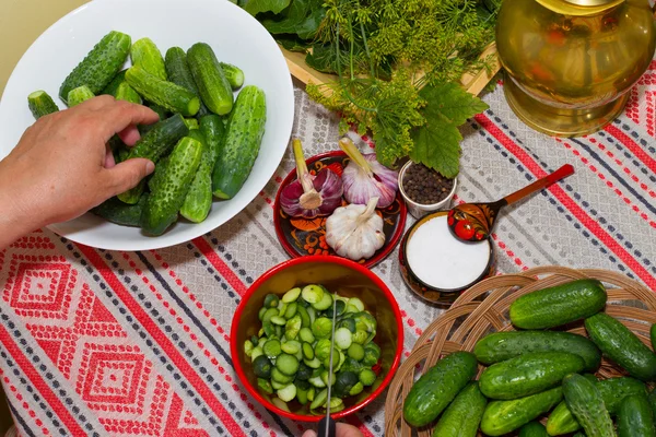 Pickling cucumbers, pickling - hands close-up, cucumber, herbs, — Stock Photo, Image