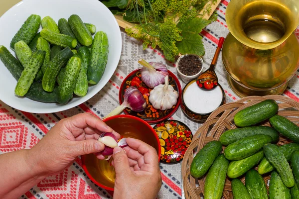 Pepinos em escabeche, conservação em escabeche - mãos close-up, pepino, ervas , — Fotografia de Stock