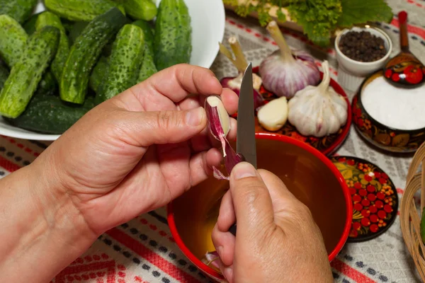 Pickling cucumbers, pickling - hands close-up, cucumber, herbs, — Stock Photo, Image