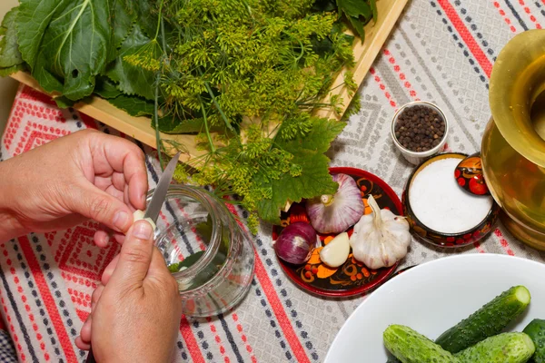 Pickling cucumbers, pickling - hands close-up, cucumber, herbs, — Stock Photo, Image