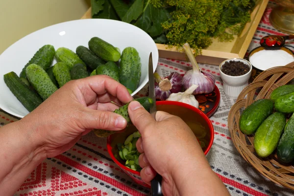 Pickling cucumbers, pickling - hands close-up, cucumber, herbs, — Stock Image Pickling cucumbers, pickling - hands close-up, cucumber, herbs, Royalty Free Stock Images