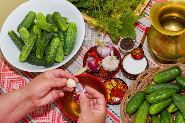 Pickling cucumbers, pickling - hands close-up, cucumber, herbs, — Stock Image Pickling cucumbers, pickling - hands close-up, cucumber, herbs, Stock Image