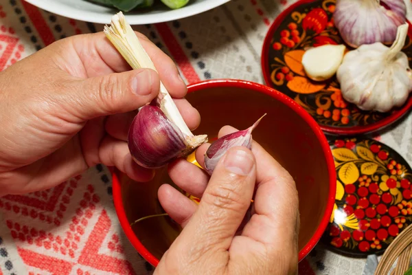 Pickling cucumbers, pickling - hands close-up, cucumber, herbs, — Stock Image Pickling cucumbers, pickling - hands close-up, cucumber, herbs, Stock Image