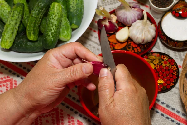 Pickling cucumbers, pickling - hands close-up, cucumber, herbs, — Stock Image Pickling cucumbers, pickling - hands close-up, cucumber, herbs, Stock Image