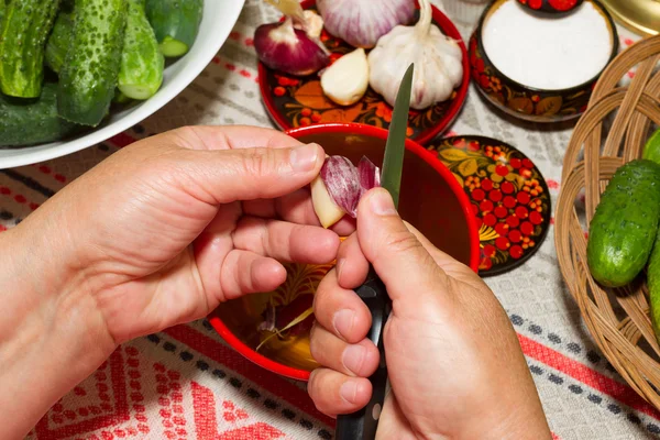 Pickling cucumbers, pickling - hands close-up, cucumber, herbs, — Stock Image Pickling cucumbers, pickling - hands close-up, cucumber, herbs, Stock Picture