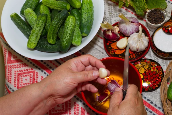 Pickling cucumbers, pickling - hands close-up, cucumber, herbs, — Stock Image Pickling cucumbers, pickling - hands close-up, cucumber, herbs, Stock Photo