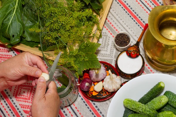 Pickling cucumbers, pickling - hands close-up, cucumber, herbs, — Stock Image Pickling cucumbers, pickling - hands close-up, cucumber, herbs, Stock Photo