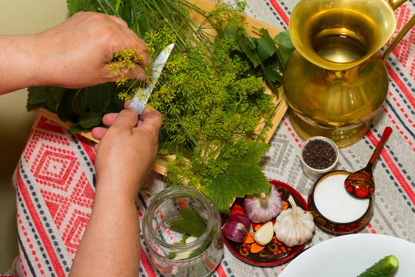 Pickling cucumbers, pickling - hands close-up, cucumber, herbs, — Stock Image Pickling cucumbers, pickling - hands close-up, cucumber, herbs, Stock Photo