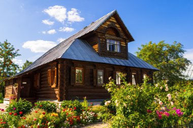 Rusya, Vladimir Bölgesi, Suzdal, Pokrovsky Manastırı, altın Rin