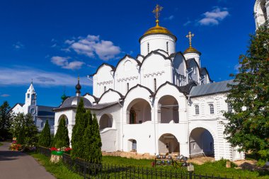 Rusya, Vladimir Bölgesi, Suzdal, Pokrovsky Manastırı, altın Rin