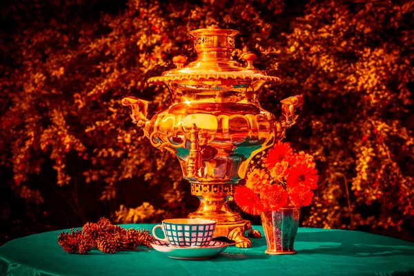 Samovar de oro ruso y taza de té, conos, que avivó el sam — Foto de Stock