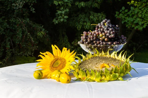 Gåvor i höst - solros, solrosfrön, orange blommor, vi — Stockfoto